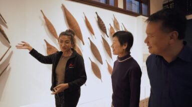 Australian Museum | Discover Aboriginal Experiences | Tourism Australia