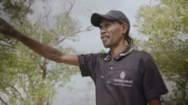 Borrgoron Coast to Creek Tours| Narrated| Discover Aboriginal Experiences | Tourism Australia