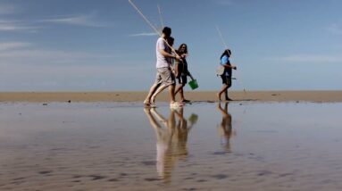 SEIT  - Daintree | Short Clip | Discover Aboriginal Experiences | Tourism Australia