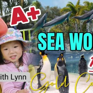 Travel with Lynn to Seaworld 🌊 🦭 | Gold Coast QUEENSLAND