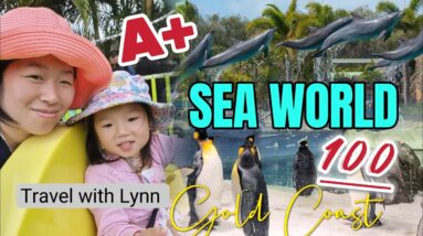 Travel with Lynn to Seaworld 🌊 🦭 | Gold Coast QUEENSLAND