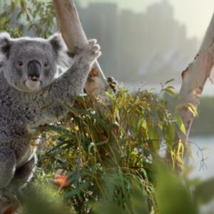 Come and Say G’day | Friendly Locals Advert (15s) | Tourism Australia