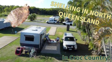 SHELLING AT LOW TIDE IN CROC COUNTRY! TRAVELING THE QUEENSLAND COAST FOR SEASHELLS | VLOG 1