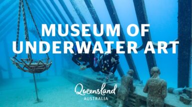 Discover the Museum of Underwater Art
