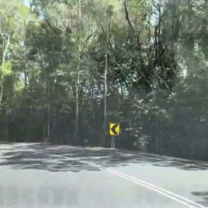 Daddy Drives: 45 Mossman Range, North Queensland, Australia #driving #travel #roadtrip