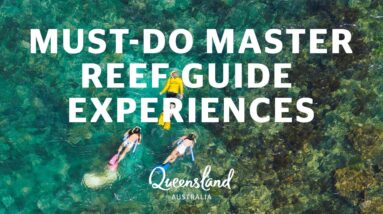 Explore the Great Barrier Reef with a Master Reef Guide Experience