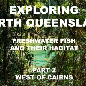 Exploring Cairns North Queensland Freshwater Fish and Their Habitat Part Two west of Cairns.