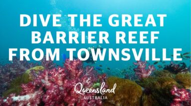 How to dive the Great Barrier Reef from Townsville