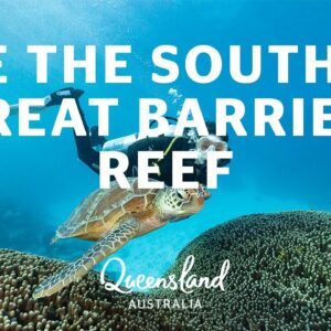 How to dive the Southern Great Barrier Reef