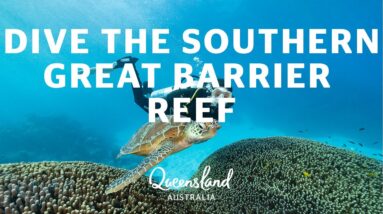 How to dive the Southern Great Barrier Reef