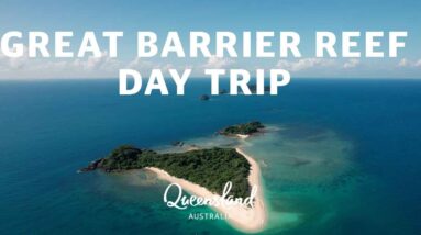 How to do a day trip to Frankland Island on the Great Barrier Reef