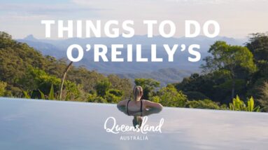 7 things to do at O'Reilly's Rainforest Retreat in the Gold Coast Hinterland