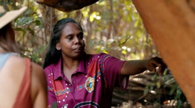 Kingfisher Tours | Narrated | Discover Aboriginal Experiences | Tourism Australia