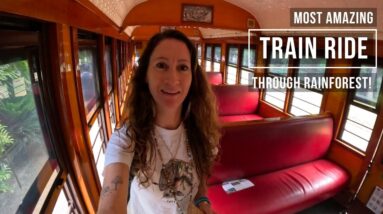Travelling solo on the Kuranda train ride through Queensland tropical rainforest, breathtaking!!