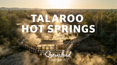 Learn about indigenous culture at Talaroo Hot Springs