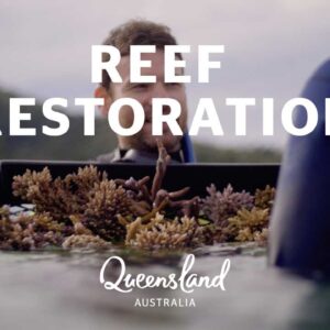 Learn about Queensland's Great Barrier Reef restoration
