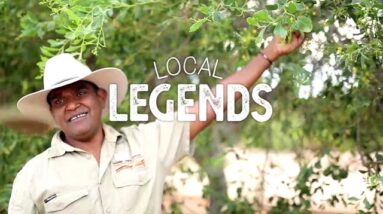 Kimberley Cultural Adventures |Short Clip | Discover Aboriginal Experiences