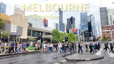 Melbourne City Australia in December 2023