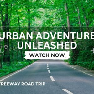 Melbourne Freeway Road Trip: Urban Adventure Unleashed