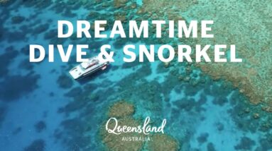 Must-do Great Barrier Reef experience: Dreamtime Dive & Snorkel