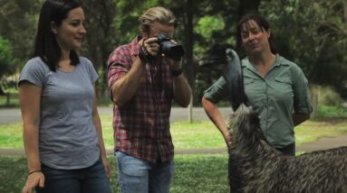 Worn Gundidj @ Tower Hill | Discover Aboriginal Experiences | Tourism Australia