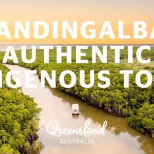 Discover Queensland Indigenous culture with Mandingalbay Authentic Indigenous Tours