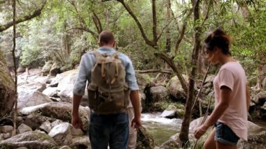 Voyages - Mossman Gorge | Discover Aboriginal Experiences | Tourism Australia