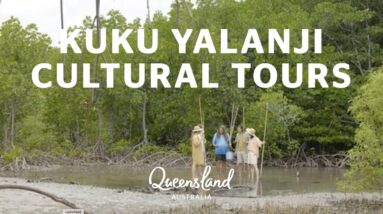 Discover Queensland Indigenous culture with Kuku Yalanji Cultural Habitat Tours
