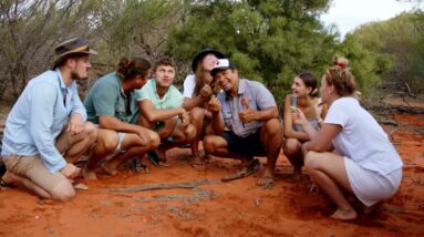 Wula Gura Nyinda Eco Cultural Adventures|Narrated|Discover Aboriginal Experiences|Tourism Australia