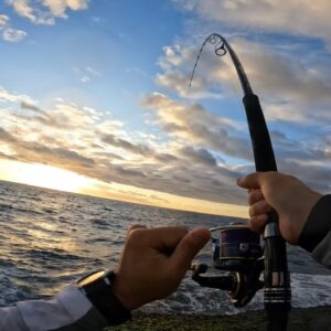 Travelling the East Coast of Australia in pursuit of pelagics! Fishing QLD & NSW | Rock Shore