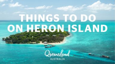 Things to do on Heron Island