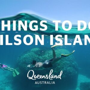 Things to do on Wilson Island