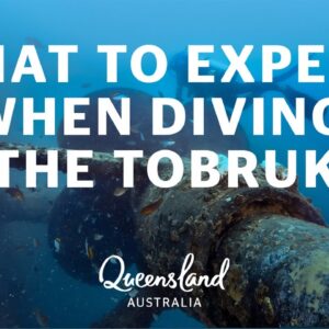 What to expect when diving the ex-HMAS Tobruk