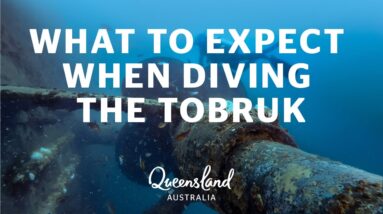 What to expect when diving the ex-HMAS Tobruk