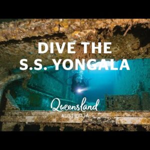 Why you should dive the S.S. Yongala