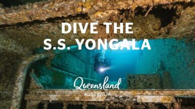 Why you should dive the S.S. Yongala