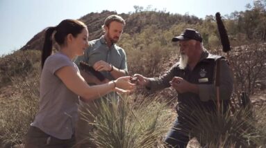 Wilpena Pound Resort | Discover Aboriginal Experiences | Tourism Australia