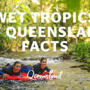 Things you didn’t know about the Wet Tropics of Queensland World Heritage Area