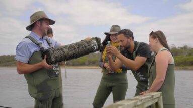 Fresh Tasmanian Oysters with Oyster Bay Tours | It's All Good Down Under | Come and Say G'day