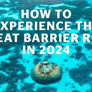How to experience The Great Barrier Reef in 2024