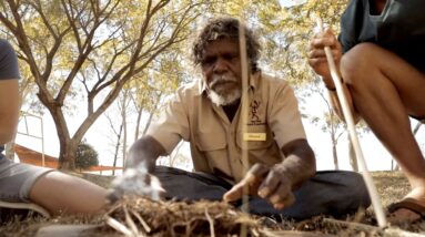 Top Didj Cultural Experience & Art Gallery | Short Clip | Discover Aboriginal Experiences