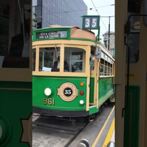 Melbourne's Free Tourist Tram View #tram #city #autumn