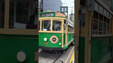 Melbourne's Free Tourist Tram View #tram #city #autumn