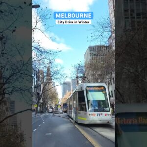 Melbourne Australia #citytour #tram #drivingtour