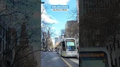 Melbourne Australia #citytour #tram #drivingtour