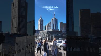 Travel Melbourne Walks #citywalk #walkthrough #walkingtour