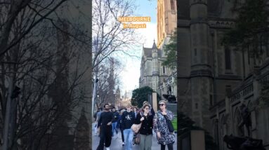 Travel Melbourne Walks #citywalk #walkthrough #walkingtour