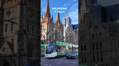 Travel Melbourne Walks in August #citywalk #walkthrough #walkingtour