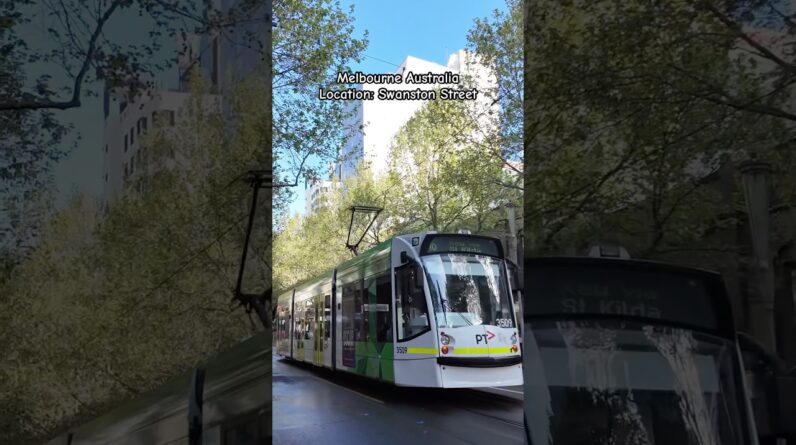 Melbourne City Street View Swanston Street #cityofmelbourne #australia