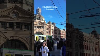 Travel Melbourne Walks #citywalk #walkthrough #walkingtour